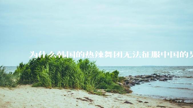 为什么韩国的热辣舞团无法征服中国的男性市场？？